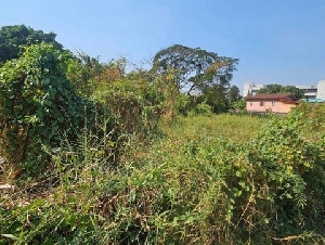 ขายที่ดินลาดพร้าว101 ซอย7 ขายที่ลาดพร้าว ขายที่บางกะปิ