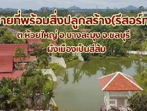 ขายที่ดินห้วยใหญ่เขาชีจรรย์พัทยา ที่ดินบางละมุงห้วยใหญ่ ที่ดินชลบุรี