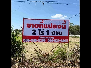 ขายที่ดินเปล่า ทำเลดี ใกล้ถนนเพชรเกษม – บ้านลาด เพชรบุรี