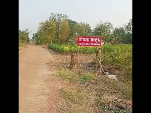 ขายที่ดินกาญจนบุรี ขายที่ด่านมะขามเตี้ย ที่ดินวิวภูเขา