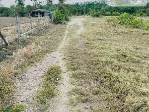 ที่ดินเปล่า ขนาด 2 ไร่ 35 ตารางวา กำแพงแสน นครปฐม ติดถนนสาธารณะเข้า-ออกสะดวก 