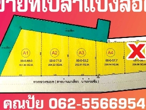 ขายที่เปล่าชัยภูมิ..ขายที่แบ่งล็อค..ขายที่เปล่าตำบลนาเสียวชัยภูมิ...ขายที่เปล่าติดถนนบ้านนาเสียว