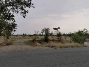 ขายที่ดิน ติดถนนใหญ่ ทางหลวงหมายเลข 2219 จังหวัดเพชรบูรณ์