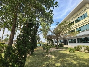 ขายที่ดินพร้อมโรงงานชลบุรี เนื้อที่​  57-3-58 ไร่ พร้อมใบอนุญาตโรงงาน รง.4 บ่อทอง ชลบุรี ห่างจากถนน​ 331  เพียง​ 2​  กม ผังสีเหลือง