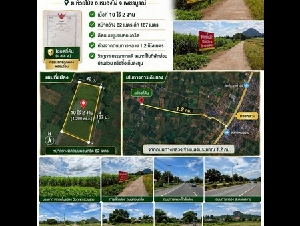 ขายที่เพชรบูรณ์​ ขายที่เปล่าติดถนนห้วยโป่ง​  ขายที่อำเภอหนองไผ่