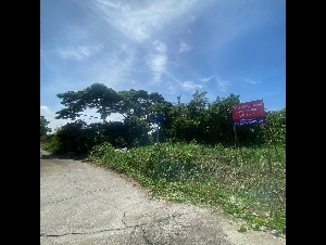 ให้เช่าที่ดินเปล่า ทำเลดี ซอยเพชรเกษม 77 แยก 4-17 หนองแขม กรุงเทพมหานคร