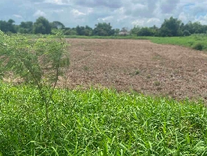 ขายที่ดินเปล่า 4 ไร่ คลองสิบ ลำลูกกา ปทุมธานี       