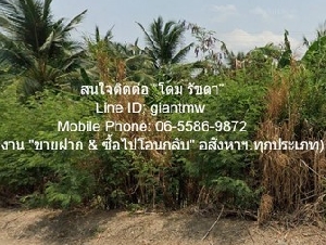 ขายที่ดินผังสีม่วง ติดถนน  อ.กระทุ่มแบน จ.สมุทรสาคร 2 ไร่ ราคา 12 ล้านบาท