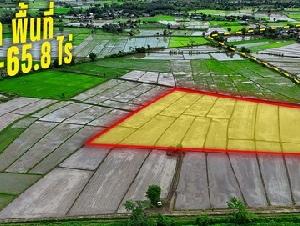 ขายที่นาแปลงใหญ่ 16 ไร่ ติดคลองชลประทาน อ.เมืองเชียงราย ใกล้สนามบิน