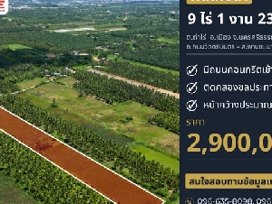 ที่ดินเปล่าแปลงใหญ่ 9 ไร่ 1 งาน 23 ตารางวา ต.ท่าไร่ นครศรีธรรมราช 