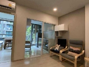 ขายคอนโดพร้อมผู้เช่า รับรายได้ต่อได้ทันที The Tree Sukhumvit 64 | ใกล้ BTS ปุณณวิถี