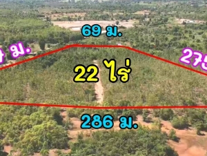 ที่ดินวิวภูเขาแก่งกระจาน เพชรบุรี ที่ดินสูงระดับเดียวกับถนน หน้าแปลงหันหน้าทิศตะวันออกเฉียงเหนือ