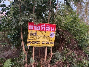 ขายที่ดินเปล่า  99.9 วา  2 แปลงติดกัน   ใกล้ท็อปแลนด์คอนกรีต เมืองตาก