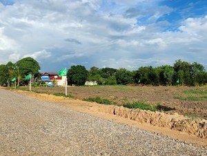 ขายที่ดินถมแล้ว 200 ตรว คลอง14 หนองเสือ อยู่ใกล้ถนนลาดยางเรียบคลอง 14 เหมาะปลูกบ้าน ทำสวน ทำการเกษตร อยู่ใกล้แหล่งชุมชน