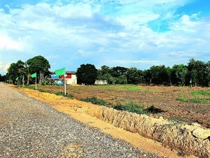 ที่ดินถมแล้ว 200 ตรว คลอง14 หนองเสือ อยู่ใกล้ถนนลาดยางเรียบคลอง 14 เหมาะปลูกบ้าน ทำสวน ทำการเกษตร อยู่ใกล้แหล่งชุมชน