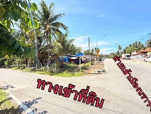 ขาย:ที่ดิน สวย ทำเลทอง โอกาสดี ทำเลทอง ที่ดินติดริมหาดทะเลสวย บ้านบาเฆะ ต.โคกเคียน อ.เมือง จ.นราธิวาส