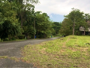 ขายที่ดิน 470 ตร.ว. ในสนามกอล์ฟเซอร์เจมส์คันทรีคลับ Forest Hill อ.มวกเหล็ก สระบุรี แปลงมุม ฟรีเมมเบอร์กอล์ฟตลอดชีพด้วย