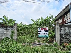 ขายที่ดินเปล่า 104  ตรว.พุทธมณฑลสาย 1 ซอย 13 ใกล้แยกบางแวก