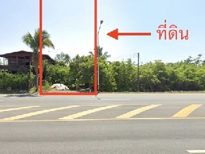  ขายที่ดินสวนละมุด – ต.คลองกระจง อ.สวรรคโลก จ.สุโขทัย