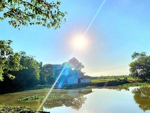 ขายที่ดินติดน้ำวิวคลอง 3 ไร่ องครักษ์ คลอง 15 หน้าน้ำวิวสวย ด้านหน้าติดถนนลาดยาง ทำเลค้าขาย เหมาะปลูกบ้านสวน  ทำคาเฟ่ทำร้านอาหาร ทำรีสอร์ท