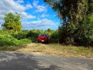 ขายยกแปลง 29 ไร่ 2 งาน 84 ตรว ที่สวย ต.เกาะโพธิ์ อ.ปากพลี จ.นครนายก ทางเข้าติดถนนลาดยางประมาณ 20 เมตร