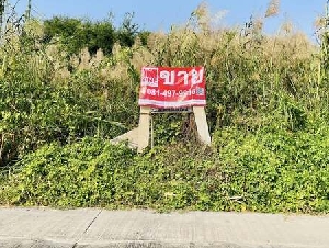  ขายที่ดินเปล่า เพชรเกษม77 ซอยสวัสดิการ 2 แยก 17 เขตหนองแขม กรุงเทพฯ  