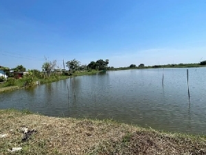 ขายที่ดิน บางปลา (คลอง7) สมุทรปราการ (ต.บางปลา อ.บางพลี สมุทรปราการ) ขนาด 101 ตรว ติดถนน