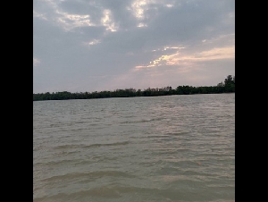 ขายที่ติดแม่น้ำบางปะกงประมาณ  2 ไร่ ถมแล้ว อ.บ้านโพธิ์   จ.ฉะเชิงเทรา