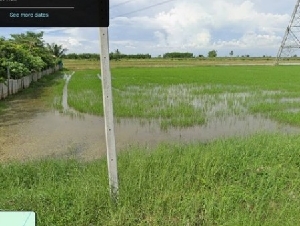 ขายที่ดินเปล่า ทำเลดี ซ.เลียบคลองสิบสาม ฝั่งตะวันออก 6 ต.คลองสิบสอง อ.หนองจอก เนื้อที่ 194 ตารางวา