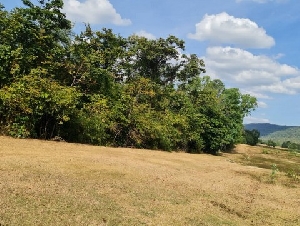 อสังหาเมืองไทยทรัพย์ในดิน  ขายที่ดินสวยติดภูเขา เทือกเขายาวเรียงแนว ดินดีสมบูรณ์ทรัพย์ในดิน ฟ้าใสวิวหลักล้าน ต.นาจาน อ.สีชมพู จ.ขอนแก่น