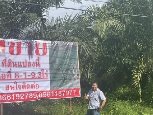 ขายที่ดินสวนปาล์ม ติดถนนใหญ่ 4 เลนทำเลดีเหมาะทำธุรกิจปั้มน้ำมันหรือทำรีสอร์ท อ.ถ้ำพรรณรา จ.นครศรีธรรมราช