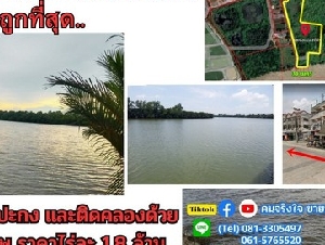 ขายที่ดินติดแม่น้ำบางปะกง 9 ไร่เศษ (ถมแล้วบางส่วน) ต.ท่าพลับ อ.บ้านโพธิ์ จ.ฉะเชิงเทรา