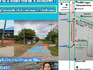 ขายที่ถมแล้ว ผังสีส้ม เกือบ  2 ไร่ ต.ท่าถ่าน อ.พนมสารคาม จ.ฉะเชิงเทรา