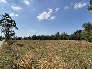 ขายที่ดินราคาถูก นครนายก 13 ไร่ 63 ตร.ว. ยกแปลกหรือแบ่งก็ได้ โทร 089-7411750