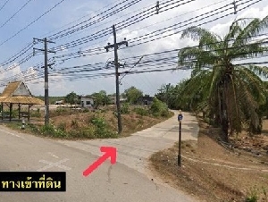 ขายที่ดิน 2 แปลงติดกัน (2 โฉนด) ต.ปกาสัย อ.เหนือคลอง จ.กระบี่ ทำเลดี ติดถนนเพชรเกษม Tel 094-996-3362