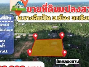 ขายที่ดินแปลงสวย ต.บางตีนเป็ด อ.เมือง จ.ฉะเชิงเทรา เนื้อที่ 3 ไร่ 9 ตร.ว. โทร 081-435-2828