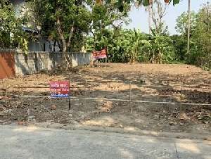 ขายที่ดิน บางใหญ่ ใกล้รถไฟฟ้า 99 วา 2.1 ล้าน 0864540423