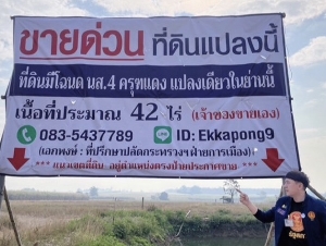 ด่วน ขายที่ดินแม่สอด-ห้วยกระโหลก 42 ไร่ ที่ดินมีโฉนด นส.4 ครุฑแดงแปลงเดียวในย่านนี้ โทร 0835437789