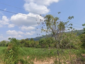 ขายด่วน ที่ดินแปลงใหญ่ 42 ไร่ วิวเขาสวย กบินทร์บุรี จ.ปราจีนบุรี ทำเลดี โทร 066-112-0133