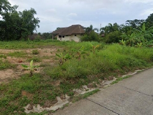 ขายที่โฉนด ปรับพื้นที่แล้ว ซอยไสน้ำเย็น เนื้อที่ 259 ตร.ว. เจ้าของขายเอง