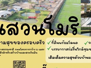 ที่ดินแบ่งขาย ที่ อ.สองพี่น้อง จ.สุพรรณบุรี สวยงาม พร้อมสร้างบ้าน เจ้าของขายเอง โทร 096-8817733